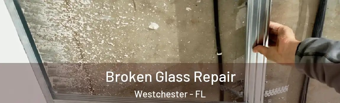  Broken Glass Repair Westchester - FL