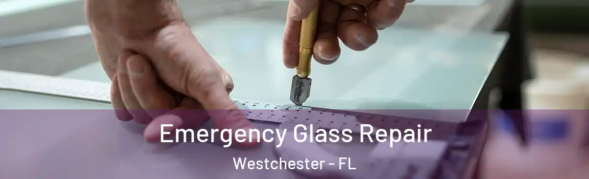  Emergency Glass Repair Westchester - FL