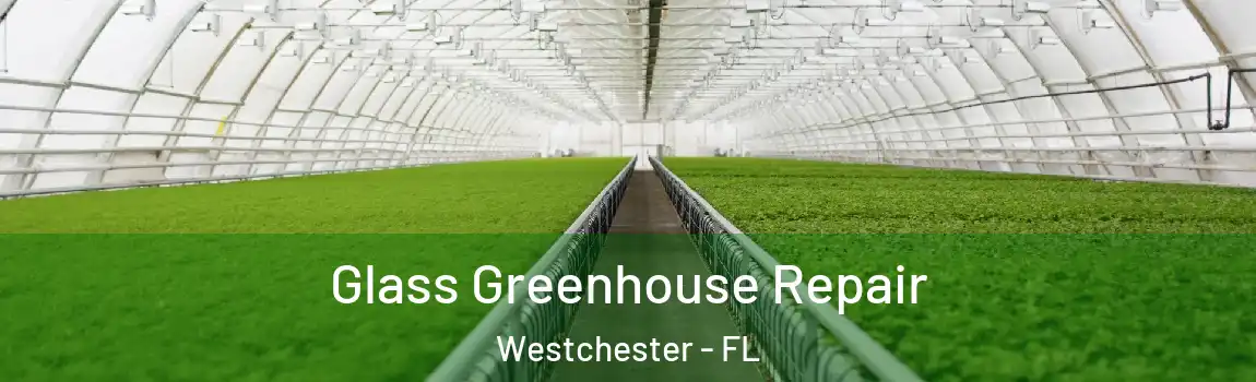  Glass Greenhouse Repair Westchester - FL