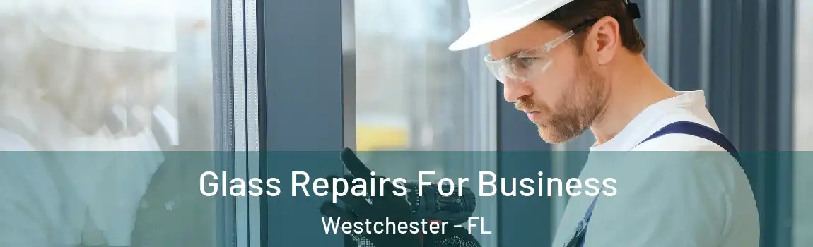  Glass Repairs For Business Westchester - FL
