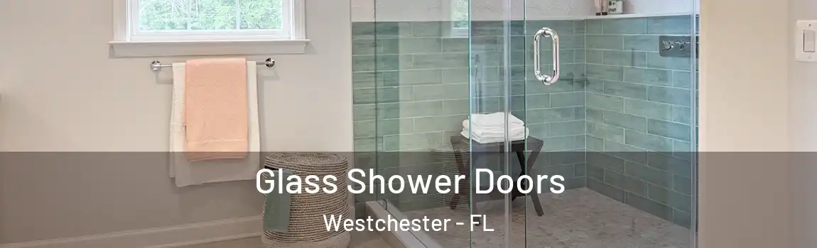  Glass Shower Doors Westchester - FL