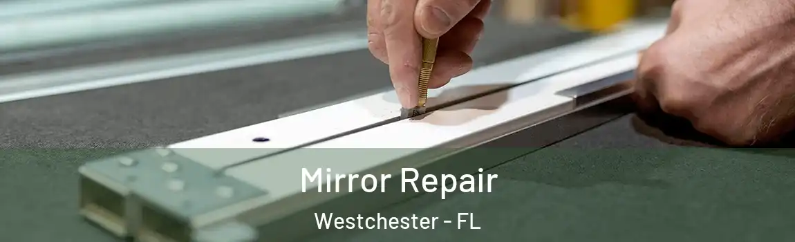 Mirror Repair Westchester - FL
