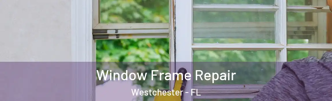 Window Frame Repair Westchester - FL