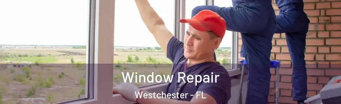  Window Repair Westchester - FL