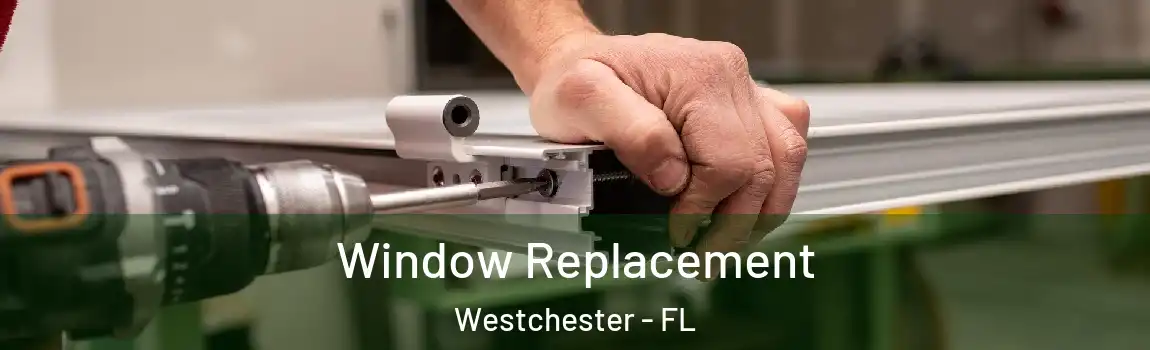  Window Replacement Westchester - FL
