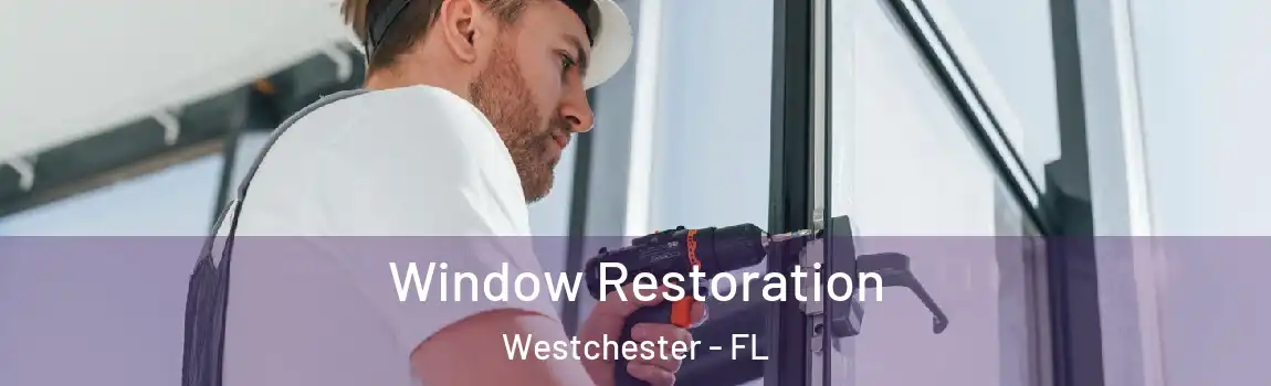  Window Restoration Westchester - FL